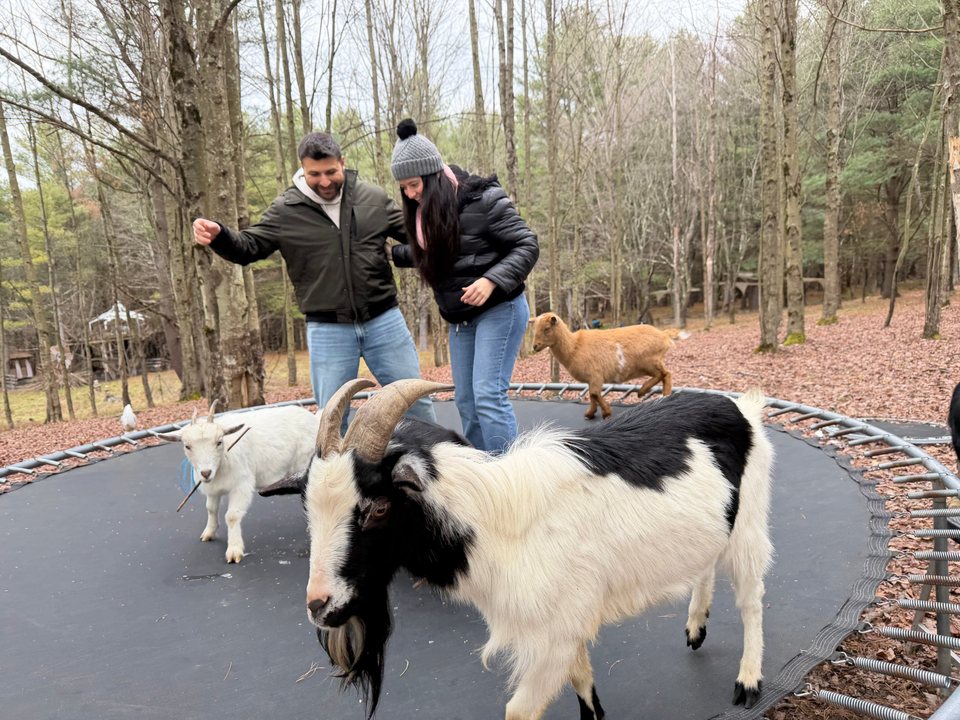 Jessica and Rami on a trampoline with goats